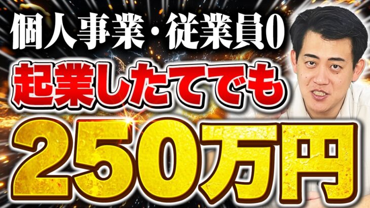 【速報】起業したての個人事業主・一人親方でも最大250万！小規模事業者持続化補助金創業型の最新情報を中小企業診断士が解説