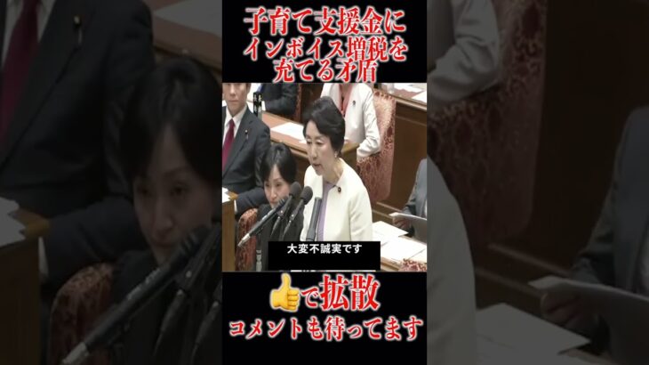 子育て支援金にインボイス増税を充てる矛盾 #裏金 #親中議員 #自民党 #石破